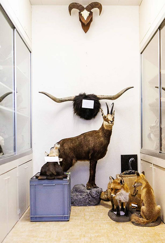 Thomas Rauch Fotograf Basel